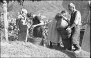 Frau (Positivo) di Atzwanger, Hugo (1938/10/12 - 1938/10/12)