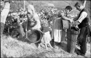 Frau (Positivo) di Atzwanger, Hugo (1938/10/12 - 1938/10/12)