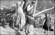 Transport (Positivo) di Atzwanger, Hugo (1938/10/12 - 1938/10/12)