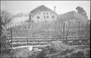 St. Georgen (Positivo) di Atzwanger, Hugo (1933/12/24 - 1933/12/24)