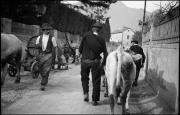 Holzgebinde (Positivo) di Atzwanger, Hugo (1932/11/03 - 1932/11/03)