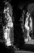 Hl. Maria (Positivo) di Atzwanger, Hugo (1938/03/09 - 1938/03/09)