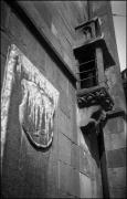 Traube (Positivo) di Atzwanger, Hugo (1930/05/05 - 1930/05/05)