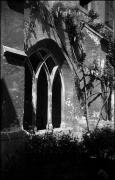 Innenhof (Positivo) di Atzwanger, Hugo (1931/05/12 - 1931/05/12)