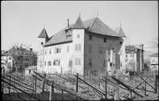 Pergl (Positivo) di Atzwanger, Hugo (1944/03/23 - 1944/03/23)