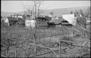 Deutschhaus (Positivo) di Atzwanger, Hugo (1944/03/23 - 1944/03/23)