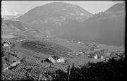 Rosengarten (Positivo) di Atzwanger, Hugo
