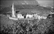 Weinberg (Positivo) di Atzwanger, Hugo (1934/06/27 - 1934/06/27)
