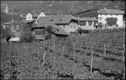 Pergl (Positivo) di Atzwanger, Hugo