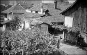 Haus (Positivo) di Atzwanger, Hugo (1934/05/52 - 1934/05/52)