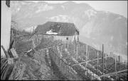 Weinberg (Positivo) di Atzwanger, Hugo (1933/12/24 - 1933/12/24)
