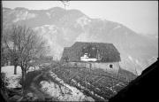 Weinberg (Positivo) di Atzwanger, Hugo (1933/12/24 - 1933/12/24)