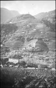 Weinbau (Positivo) di Atzwanger, Hugo (1933/11/12 - 1933/11/12)