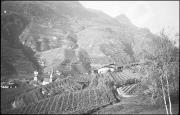 Weinbau (Positivo) di Atzwanger, Hugo (1933/11/12 - 1933/11/12)