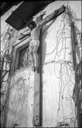 Kruzifix (Positivo) di Atzwanger, Hugo (1935/01/13 - 1935/01/13)