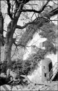 Innenhof (Positivo) di Atzwanger, Hugo (1938/11/05 - 1938/11/05)