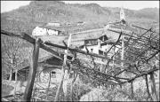 Bauernhof (Positivo) di Atzwanger, Hugo