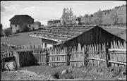 Zaun (Positivo) di Atzwanger, Hugo (1941/10/15 - 1941/10/15)