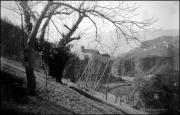 Schloss Runkelstein (Positivo) di Atzwanger, Hugo
