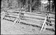 Ranggnzaun (Positivo) di Atzwanger, Hugo