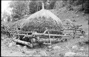 Holz (Positivo) di Atzwanger, Hugo (1941/07/16 - 1941/07/16)