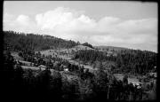Wald (Positivo) di Atzwanger, Hugo