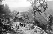 Futterhaus (Positivo) di Atzwanger, Hugo (1929/09/16 - 1929/09/16)