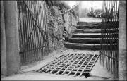 Treppe (Positivo) di Atzwanger, Hugo (1936/11/21 - 1936/11/21)