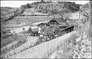 Weinbau (Positivo) di Atzwanger, Hugo (1942/05/17 - 1942/05/17)