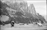 paesaggio (Positivo) di Atzwanger, Hugo