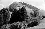 paesaggio (Positivo) di Atzwanger, Hugo