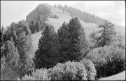paesaggio (Positivo) di Atzwanger, Hugo