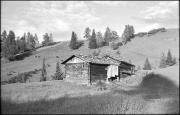paesaggio (Positivo) di Atzwanger, Hugo