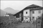 Kürbis (Positivo) di Atzwanger, Hugo