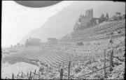 paesaggio (Positivo) di Atzwanger, Hugo