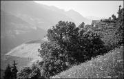 paesaggio (Positivo) di Atzwanger, Hugo