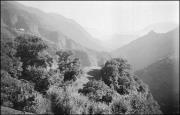 paesaggio (Positivo) di Atzwanger, Hugo