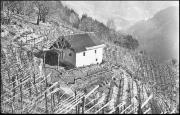 paesaggio (Positivo) di Atzwanger, Hugo