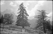 paesaggio (Positivo) di Atzwanger, Hugo