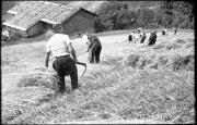 persone (Positivo) di Atzwanger, Hugo (1939/07/12 - 1939/07/12)