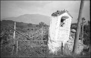 paesaggio (Positivo) di Atzwanger, Hugo