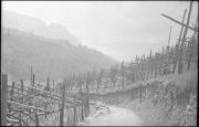 paesaggio (Positivo) di Atzwanger, Hugo