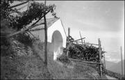 paesaggio (Positivo) di Atzwanger, Hugo