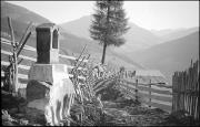 paesaggio (Positivo) di Atzwanger, Hugo
