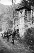 paesaggio (Positivo) di Atzwanger, Hugo