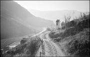 paesaggio (Positivo) di Atzwanger, Hugo
