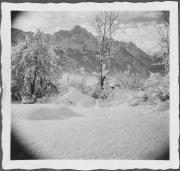 Winterlandschaft Lienz, im Hintergrund Spitzkofel
