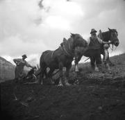 Kals, Bauern beim Pflügen
