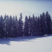 Vista sui Dolomiti di Lienz dalla malga fasching