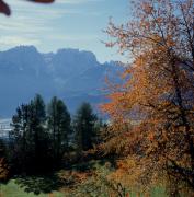 Lienzer Dolomiten - Lienzer Talboden - Blick auf Laserz